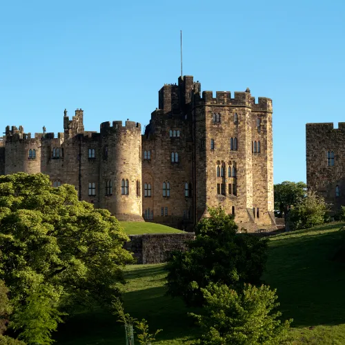 Web designer working on a laptop in Northumberland